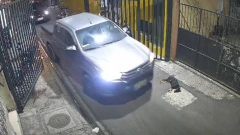 Durán celebra con humor: 'Ayer Durán Farmeó Aura' en nueva campaña municipal