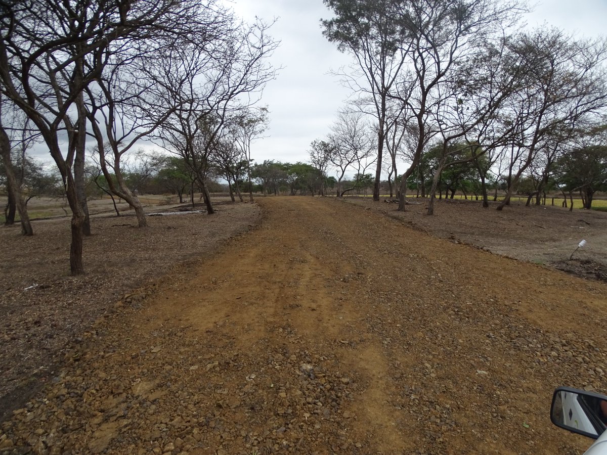 Mejoraron caminos del Recinto Caña Brava con trabajos de mantenimiento