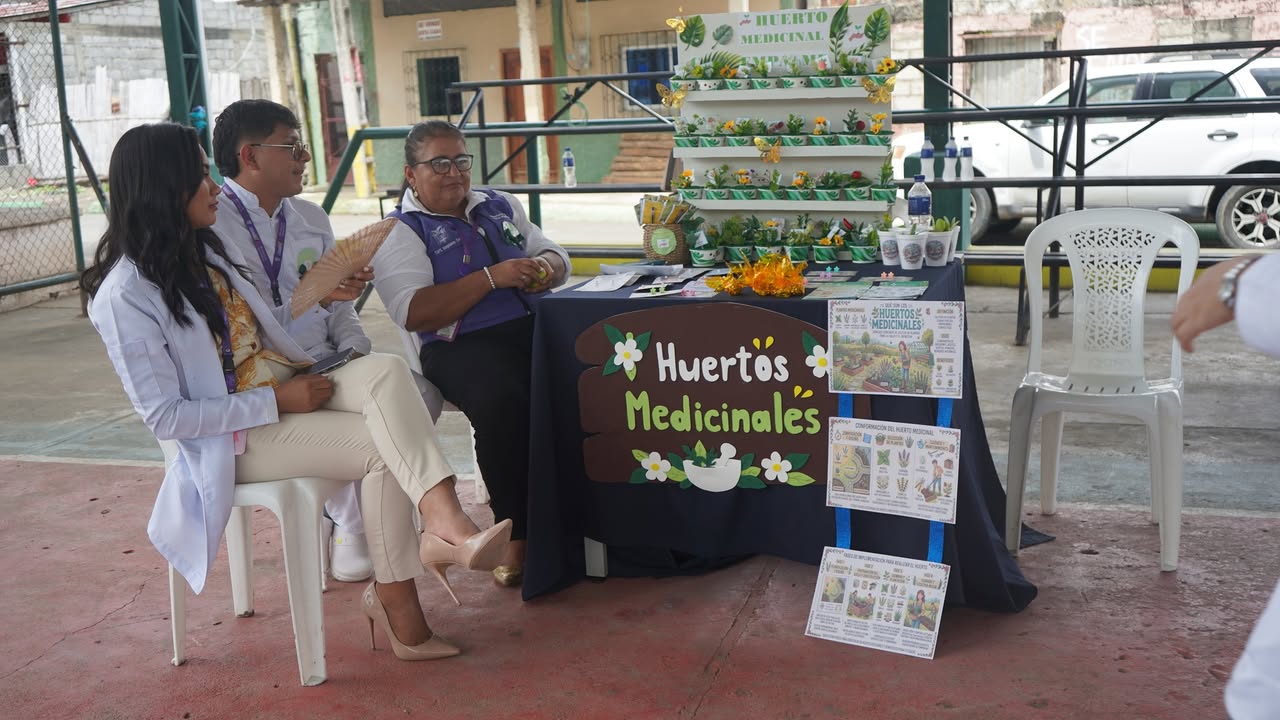 Feria de plantas medicinales llega al Barrio Sucre con charlas sobre uso seguro