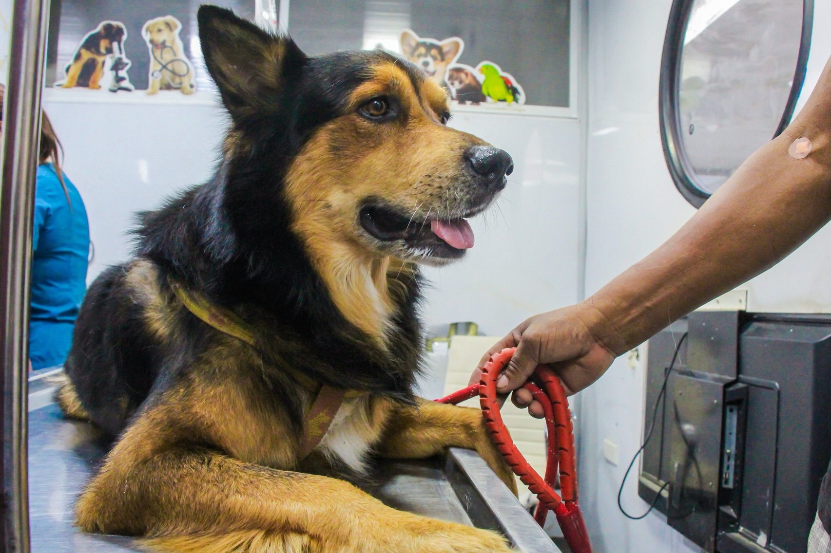 Clínica Móvil Veterinaria del GAD Daule llega a barrios y parroquias con servicios gratuitos