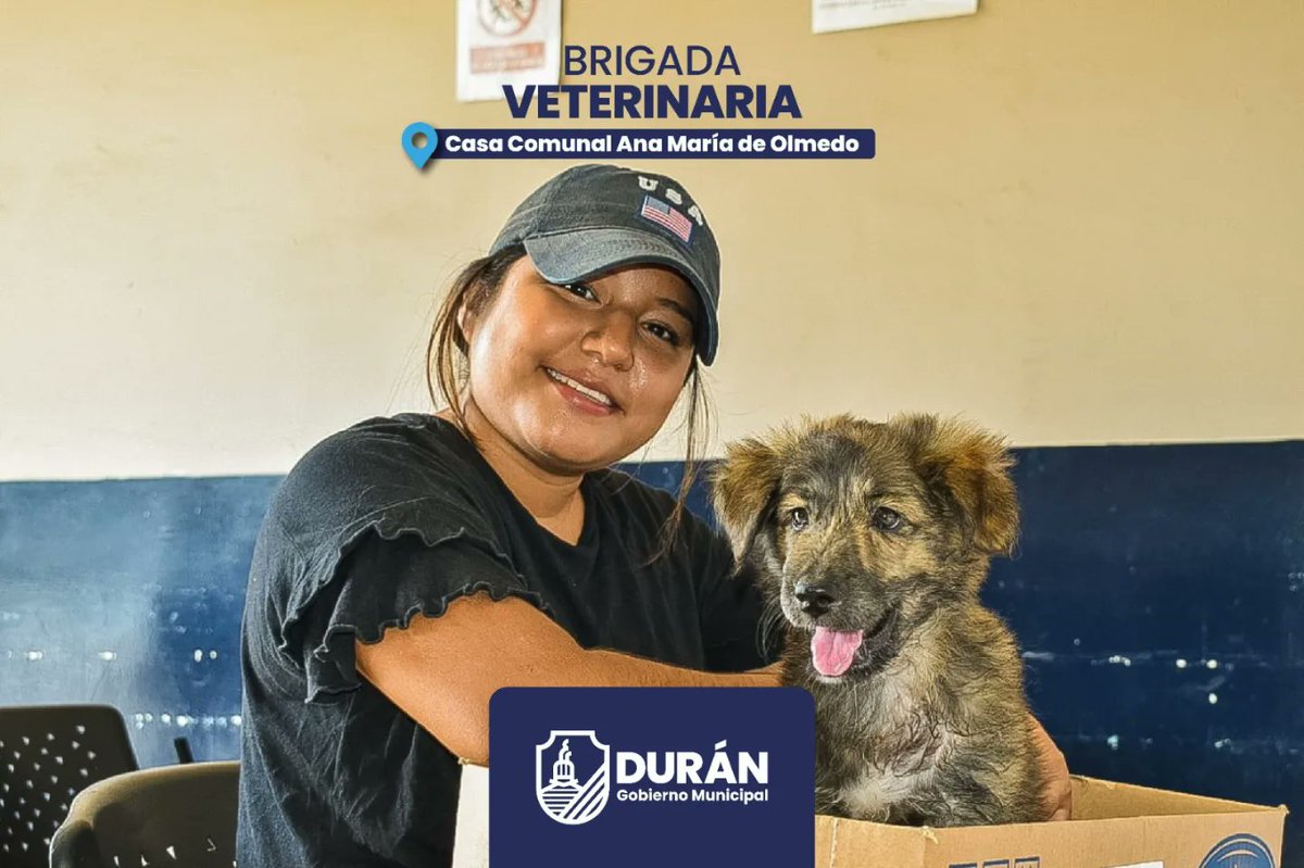 Brigadas veterinarias diarias en Casa Comunal Ana María de Olmedo