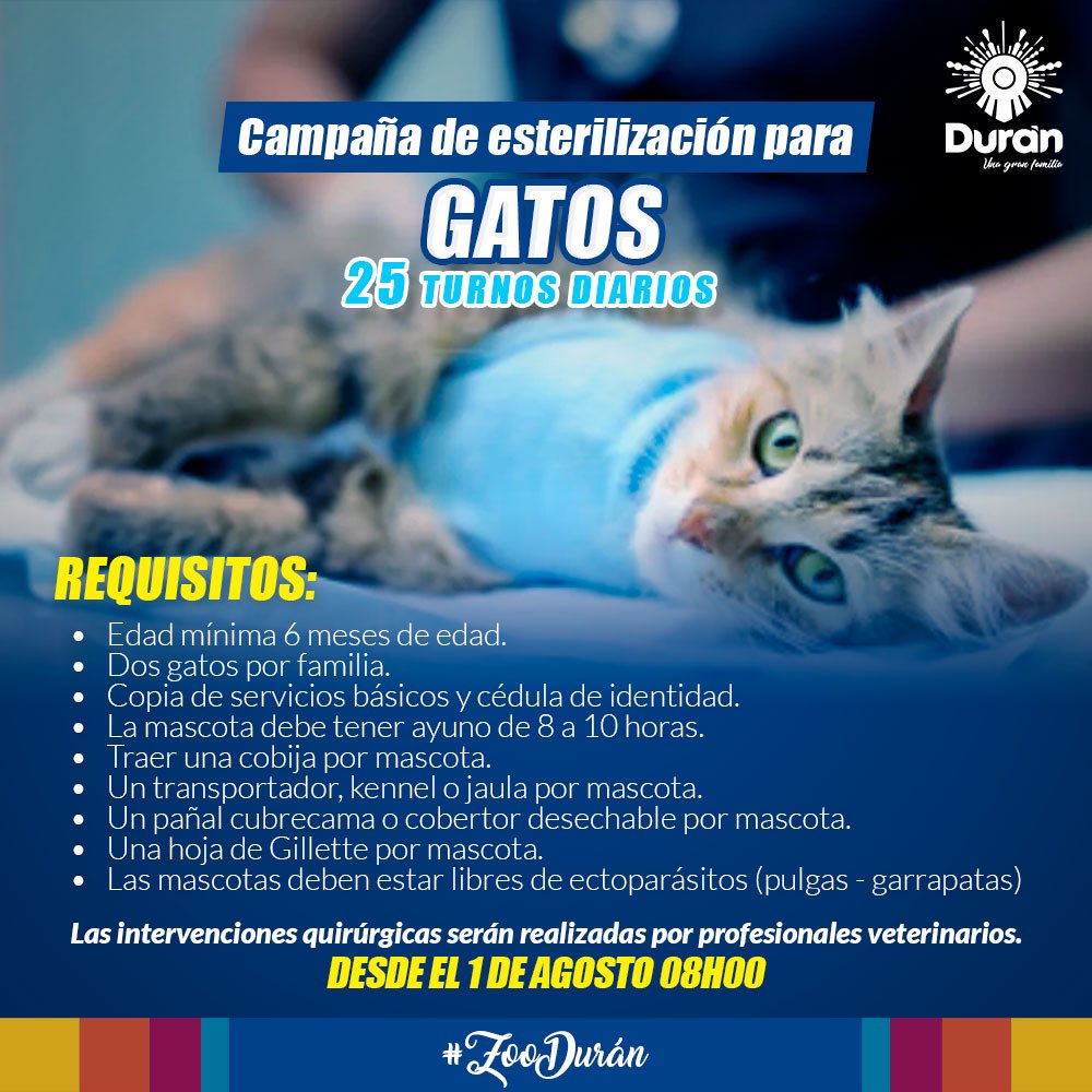 Durán inicia este 1 de agosto campaña gratuita de esterilización felina