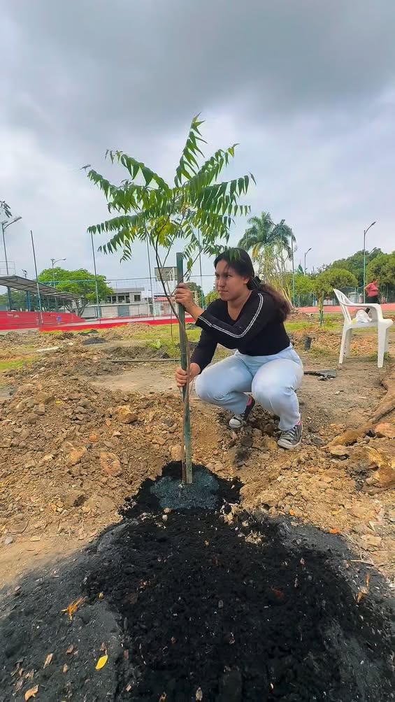 Jornada de reforestación siembra más de 200 árboles en Brisas de Santay