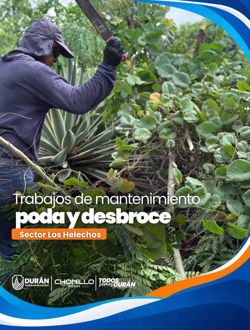 Poda y desbroce en Cdla. Los Helechos mejora tránsito en Durán