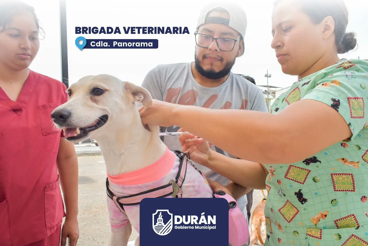 Veterinarios del GAD Durán atendieron a 300 mascotas en Cdla. Panorama