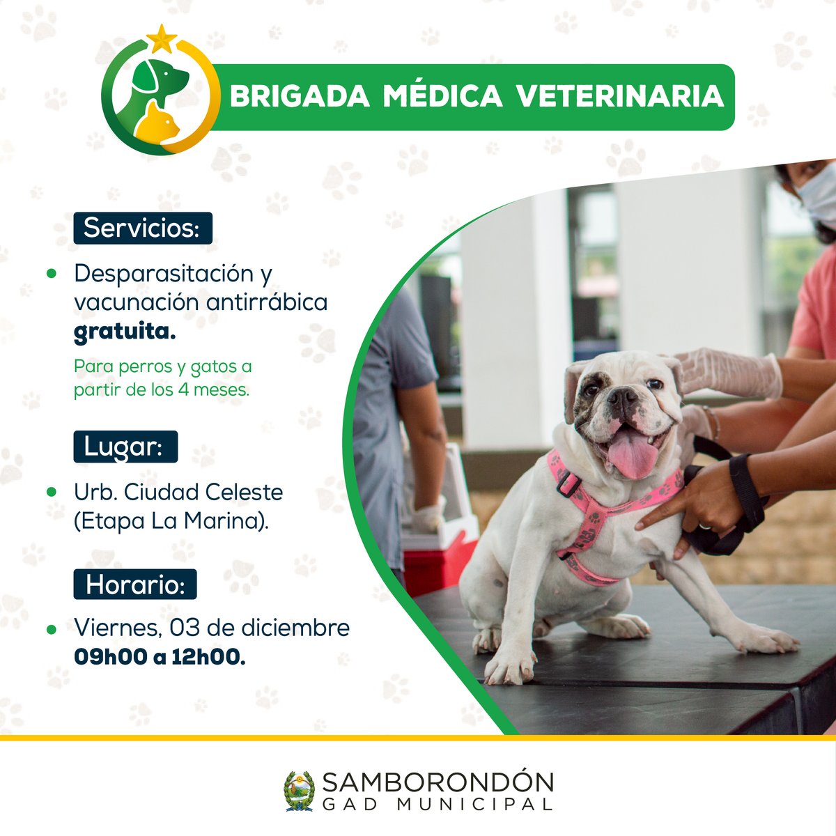 Brigada veterinaria atenderá a mascotas en Ciudad Celeste este viernes