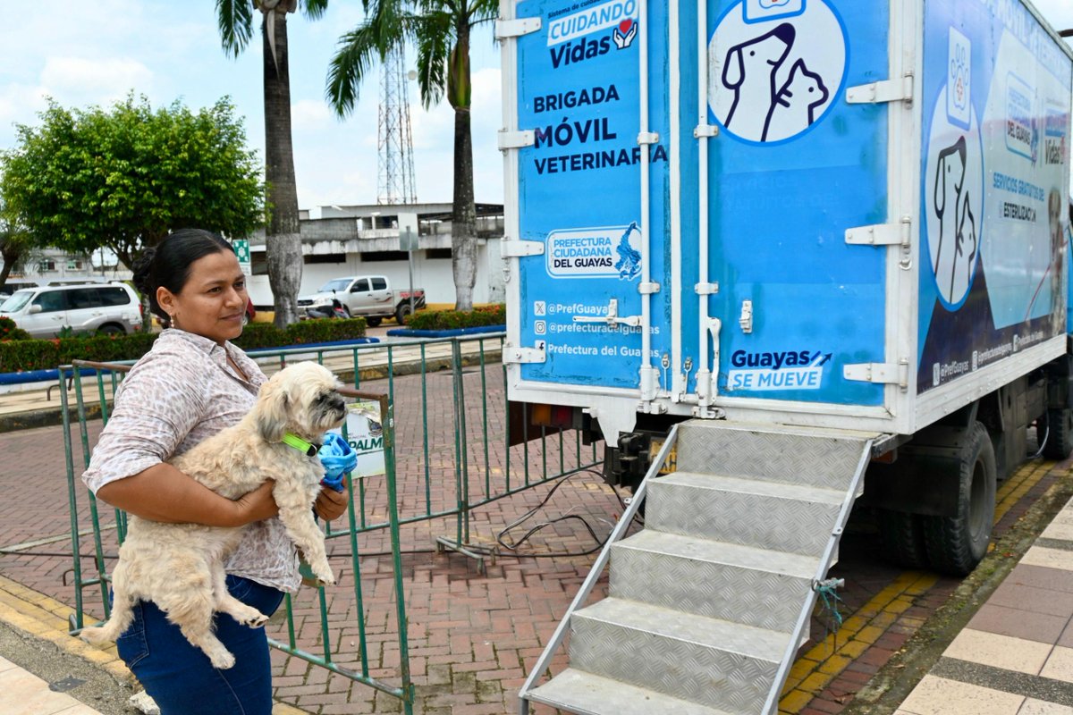 Brigada municipal esterilizaba decenas de mascotas en El Empalme