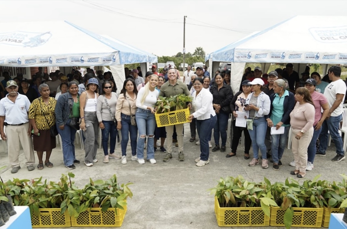Prefectura del Guayas entrega 37 mil plántulas de cacao a productores en Simón Bolívar