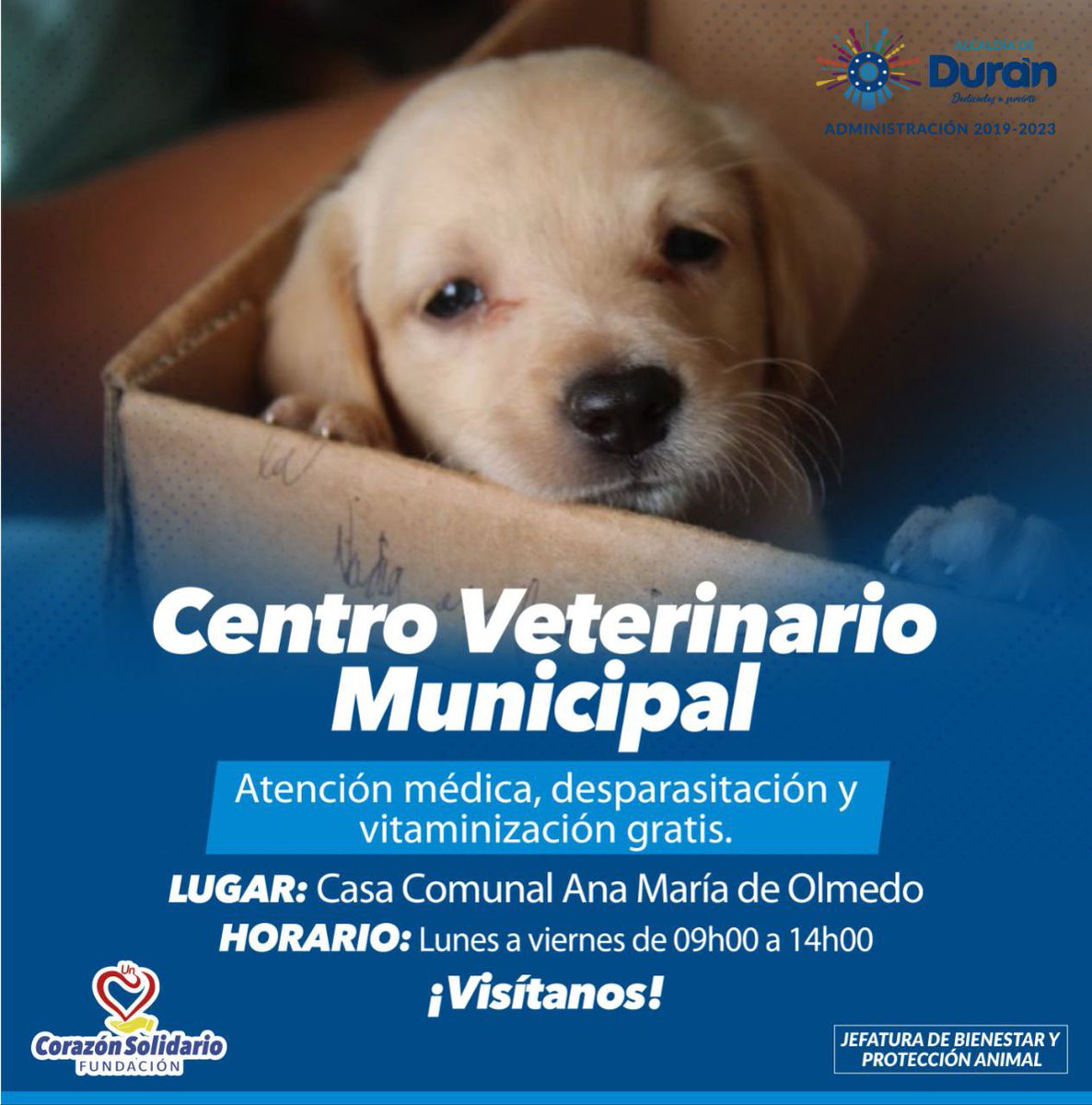 Centro veterinario municipal en Durán ofrece atención gratuita en Ana María de Olmedo