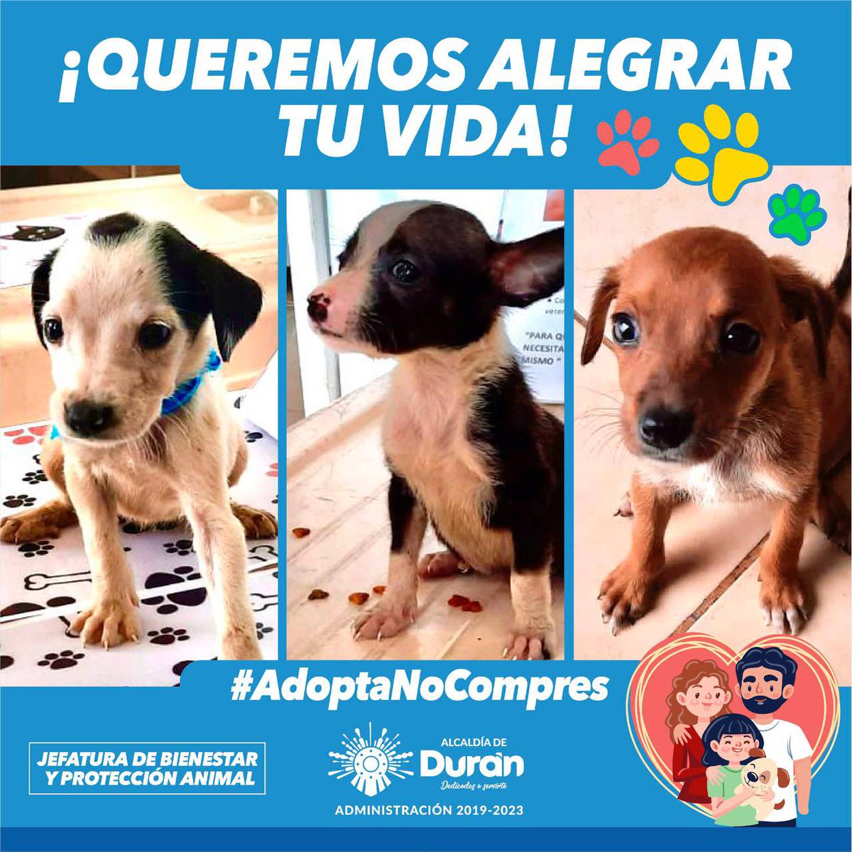 Tres cachorros de Durán buscan hogar responsable con esterilización garantizada