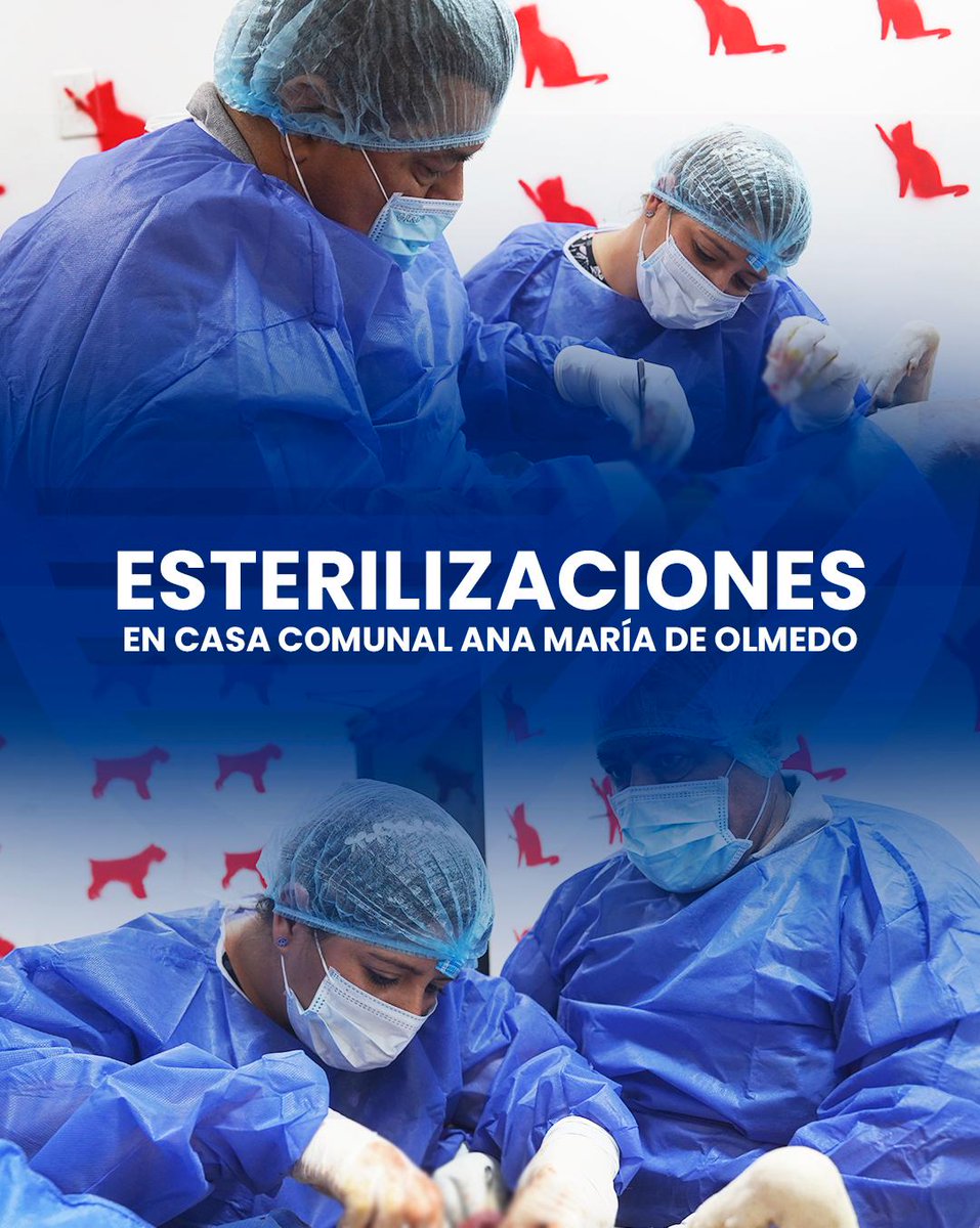 Esterilizaciones gratuitas de mascotas se realizan en Casa Comunal Ana María de Olmedo
