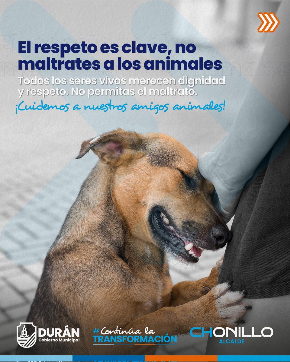 Durán: Atención veterinaria gratuita para mascotas en Casa Comunal Ana María de Olmedo