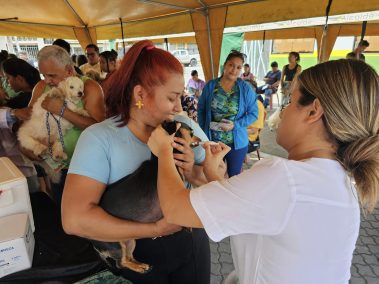 Brigada gratuita de vacunación para mascotas en Coronel Marcelino Maridueña