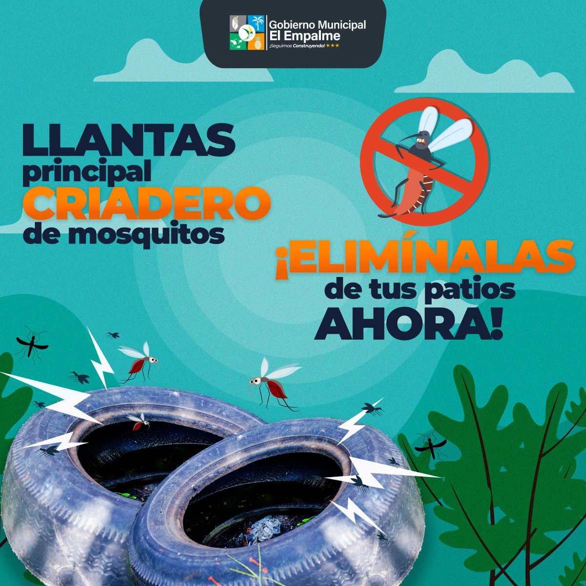 Alcaldía de El Empalme alerta sobre el riesgo de dengue por llantas en patios