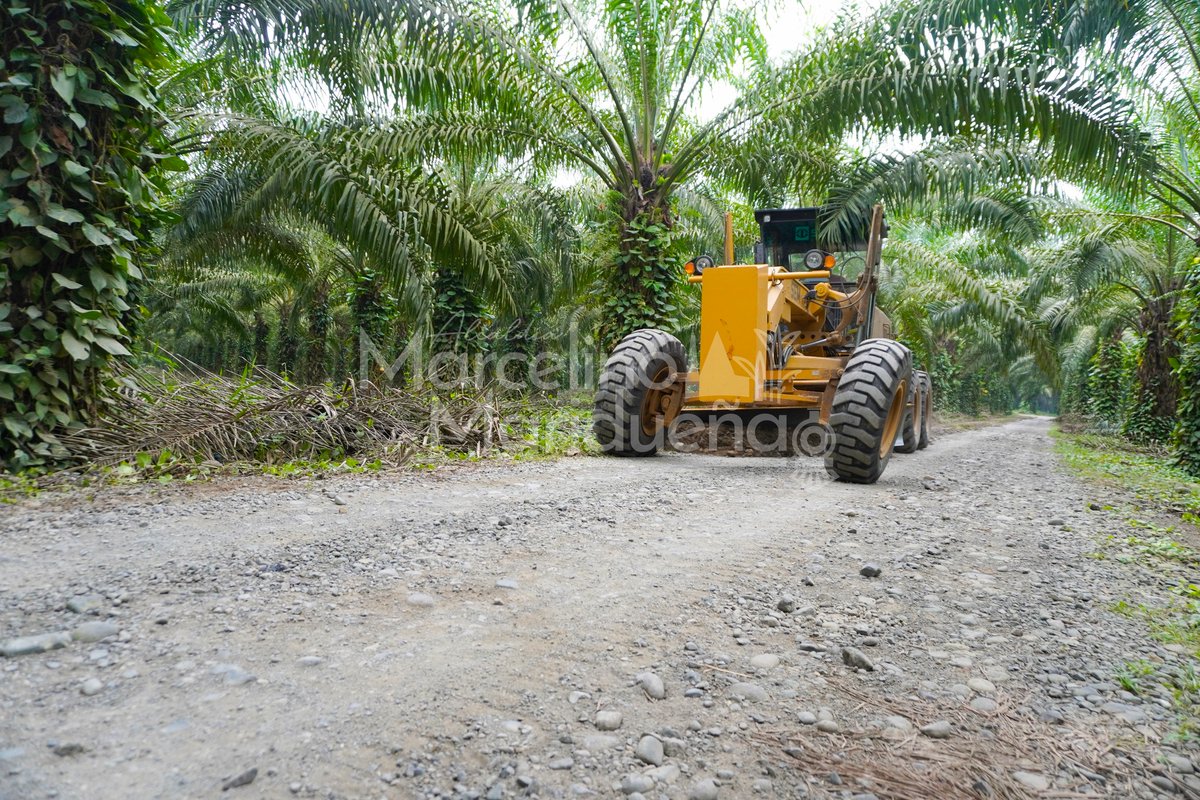 Maquinaria municipal reconfigura calles en 15 de Febrero, Coronel Marcelino Maridueña