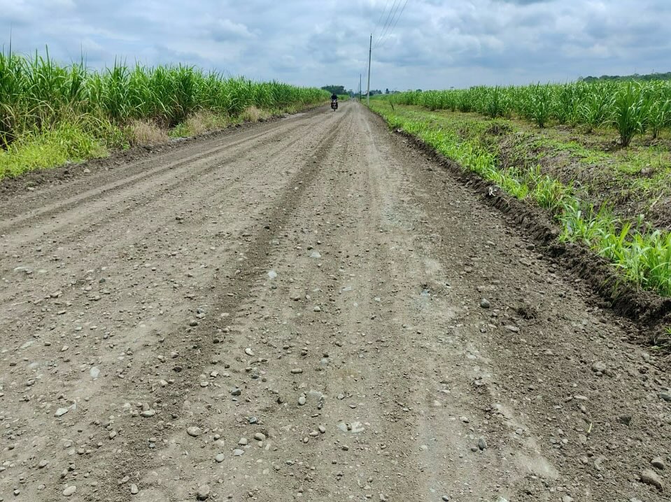 Reconformación vial mejora el transporte agrícola en Naranjito