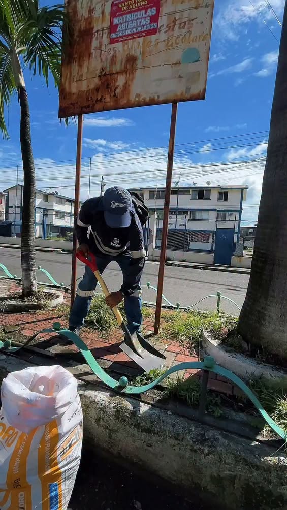 Municipio de Durán limpia parterres y avanza en calles de Abel Gilbert 3