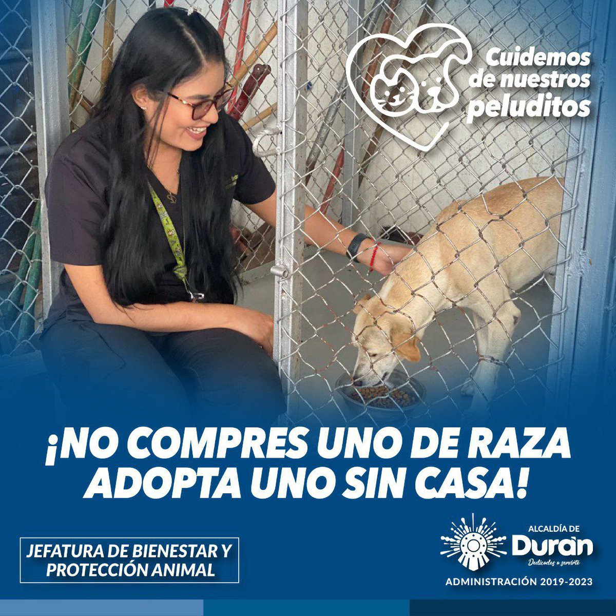 Refugio municipal en Los Helechos busca hogares para caninos rescatados