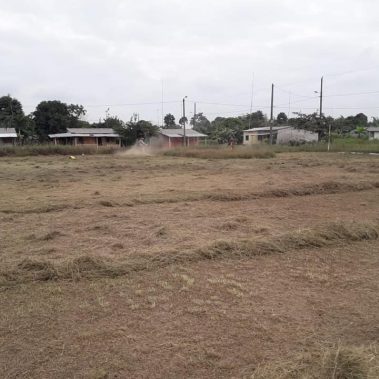 Desbroce en La Modelo: el municipio deja la cancha lista para el deporte