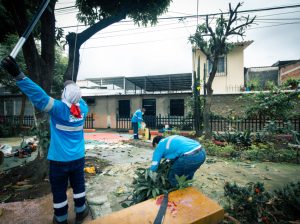 Parques EP intensifica podas y limpieza en el norte, centro y sur de Guayaquil para el invierno